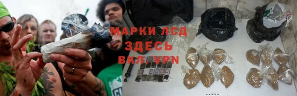 стаф Алексеевка