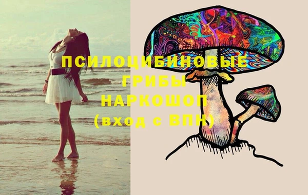 стаф Алексеевка
