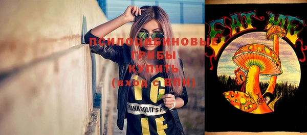 стаф Алексеевка