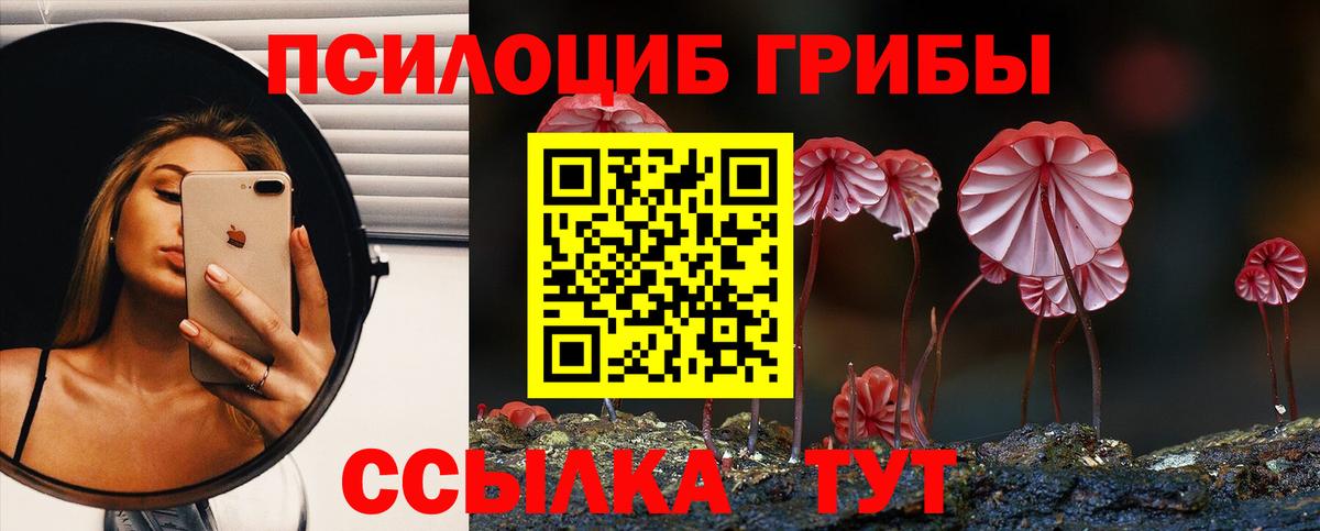 Шебекино  Псилоцибиновые грибы мухоморы  Вход с VPN 